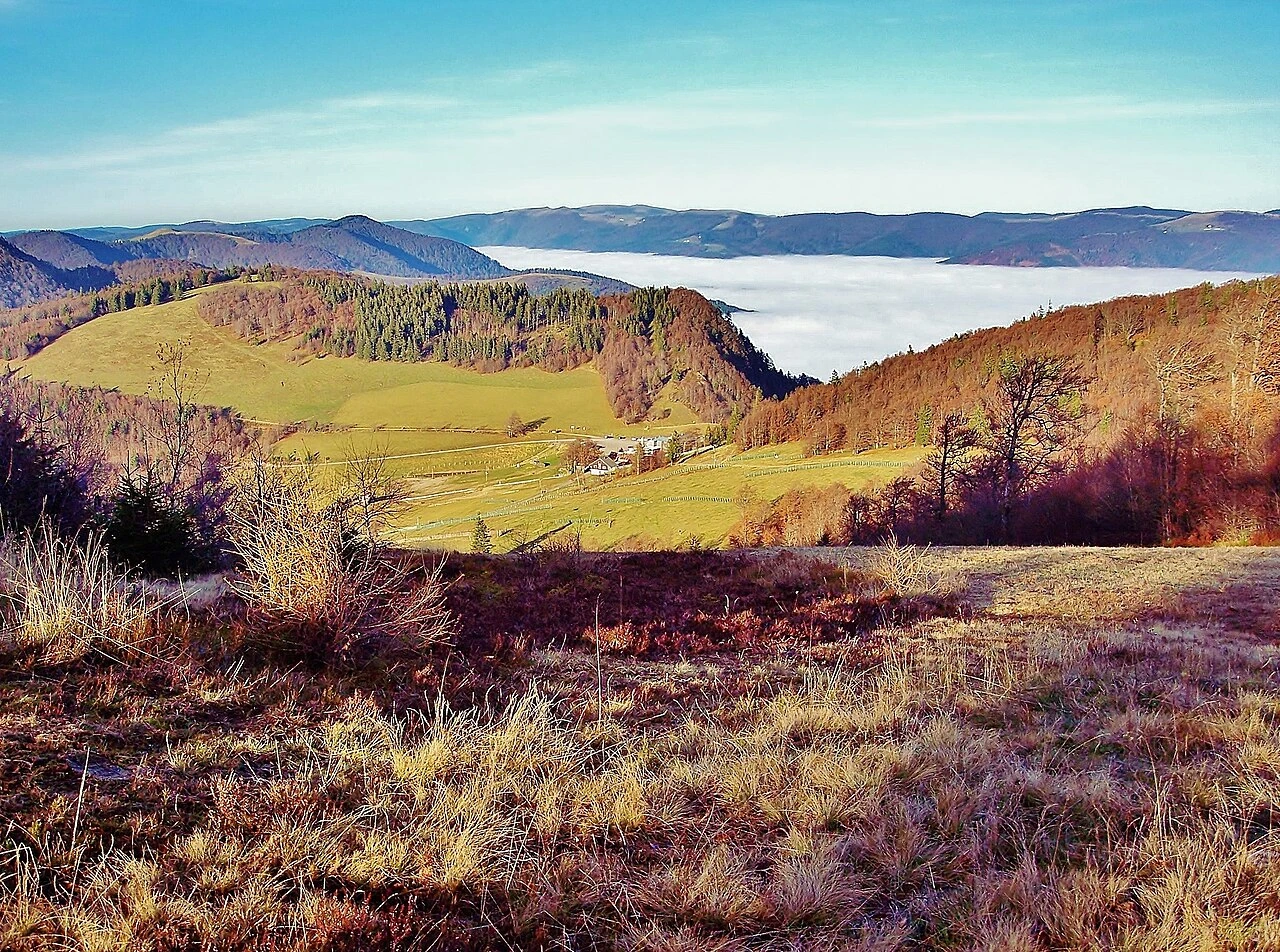 Vue du Rouge-Gazon dans le massif des Vosges, avec paysage de montagne et vallée en contrebas